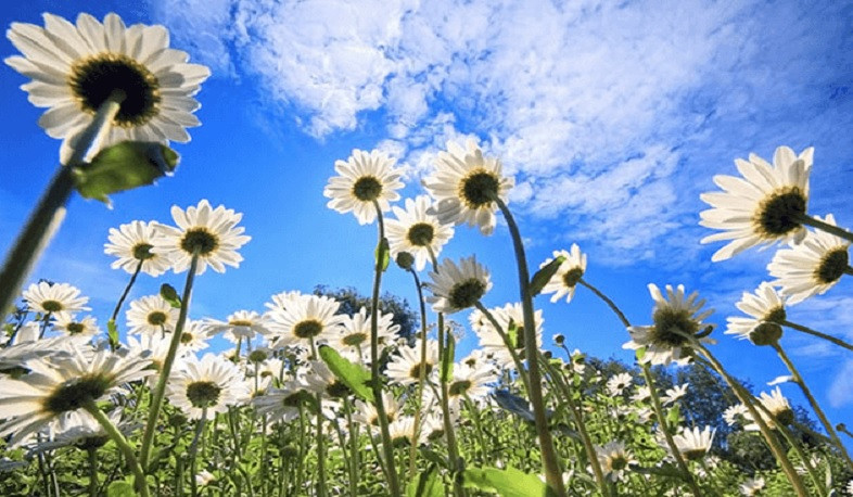 Օդի ջերմաստիճանը հունիսի 29-30-ն աստիճանաբար կնվազի 3-5 աստիճանով