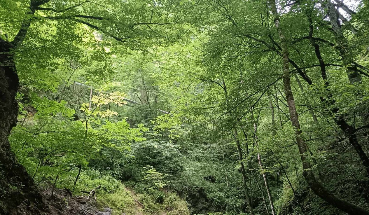 Օդի ջերմաստիճանը հունիսի 29-30-ը կնվազի 2-5 աստիճանով