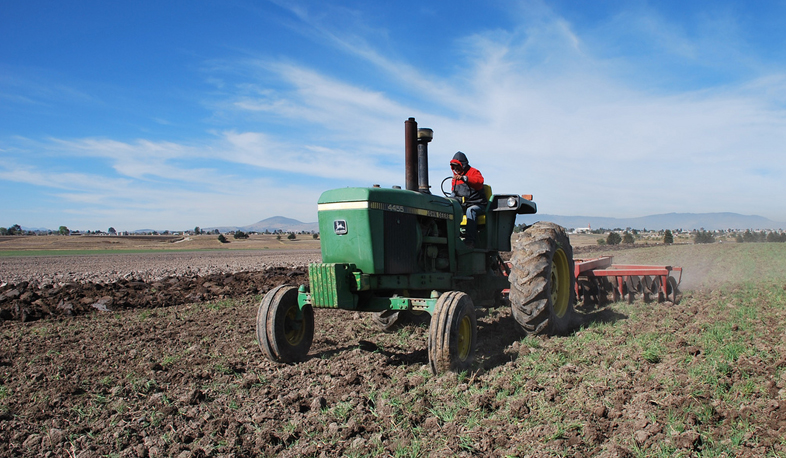 Сельчане обеспокоены оптимизацией
