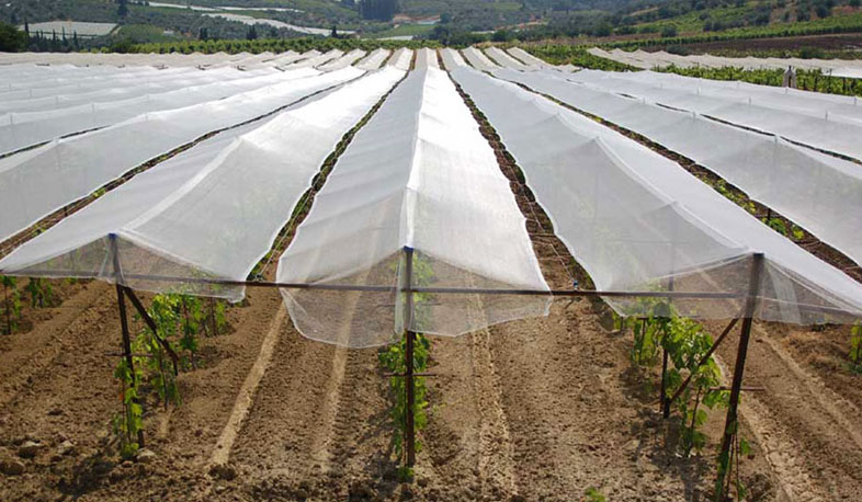 Agricultural risks to be ensured