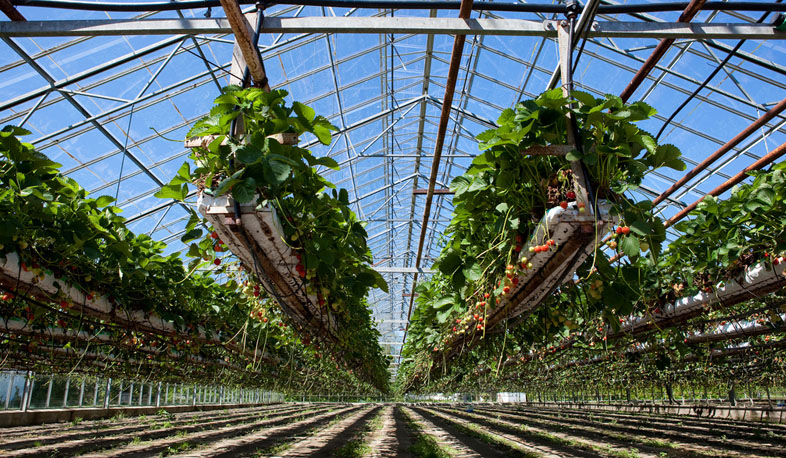 Ощутимые инвестиции в сфере производства