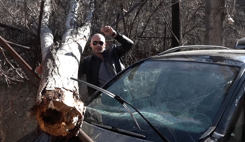 Կիսափտած ծառերը՝ սպառնալիք