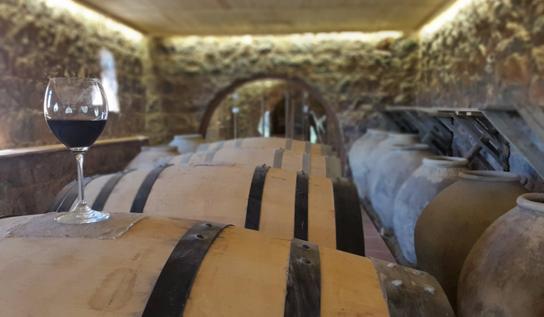 Tushpa Maran: prospects of small business development