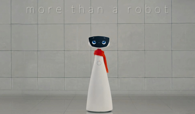 Robot Robin made in Armenia