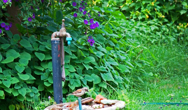 Привилегированных потребителей воды не будет