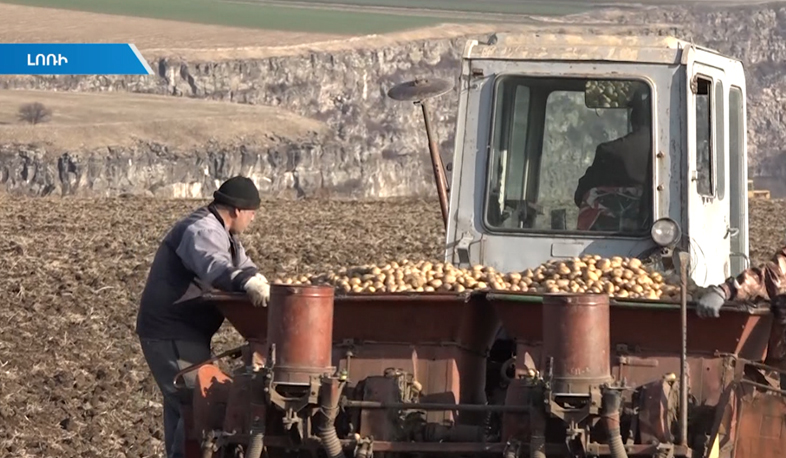 В Лорийской области начался весенний посев