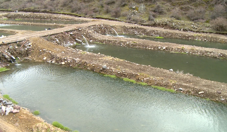 Ուսումնասիրվում է ձկնաբուծարանների օրինականությունը