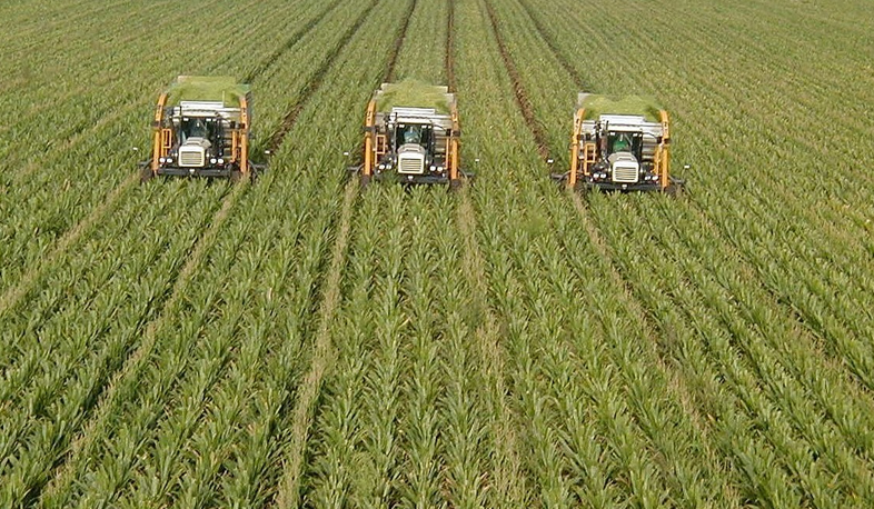 Проблемы сельского хозяйства