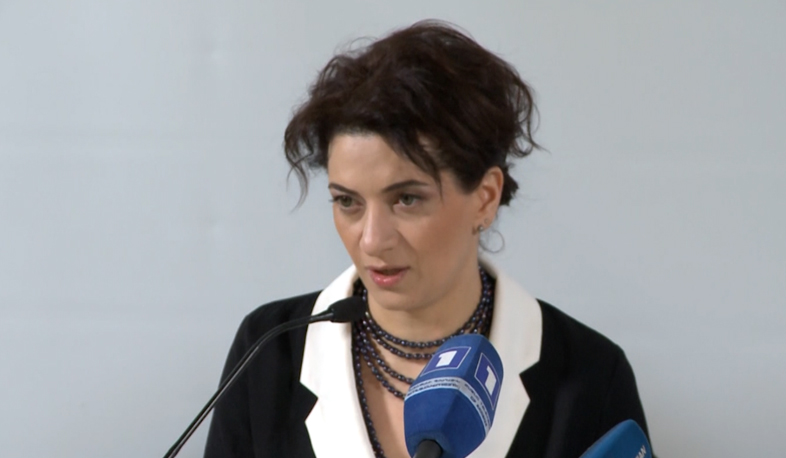 Ամերիկահայ բժիշկները կաջակցեն «Ժպիտների քաղաքին»