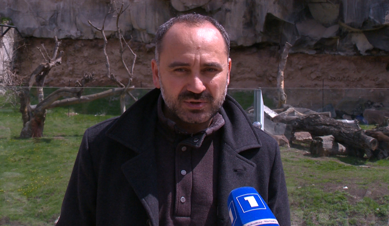 Бенгальский тигр Ереванского зоопарка заболел