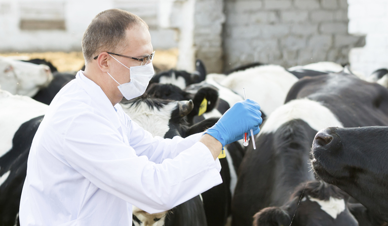 Անասնաբուժության ոլորտի խնդիրները