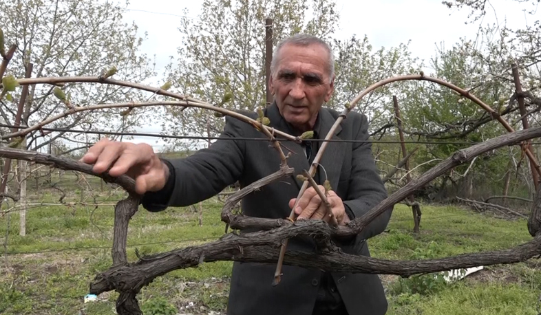 Հիշողություններ Մուսալեռի հերոսամարտի մասին