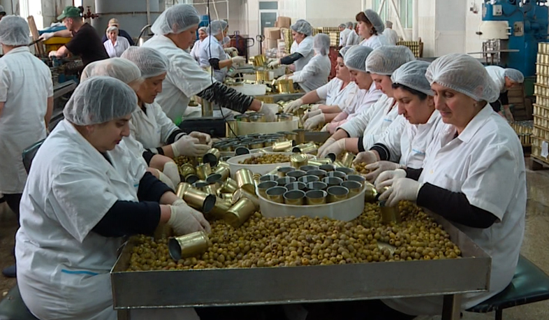 Olives produced in Armenia in foreign markets