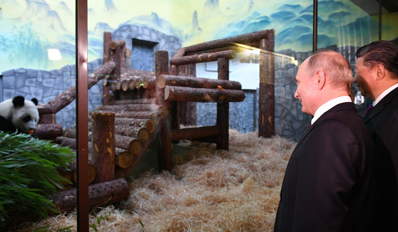Международные новости: президенты России и Китая встретились