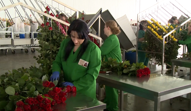 Առաջարկվում է անցնել եկամտահարկի համահարթեցման