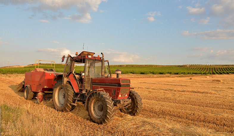 Բերդավանում ավելացել է հացահատիկի ցանքը