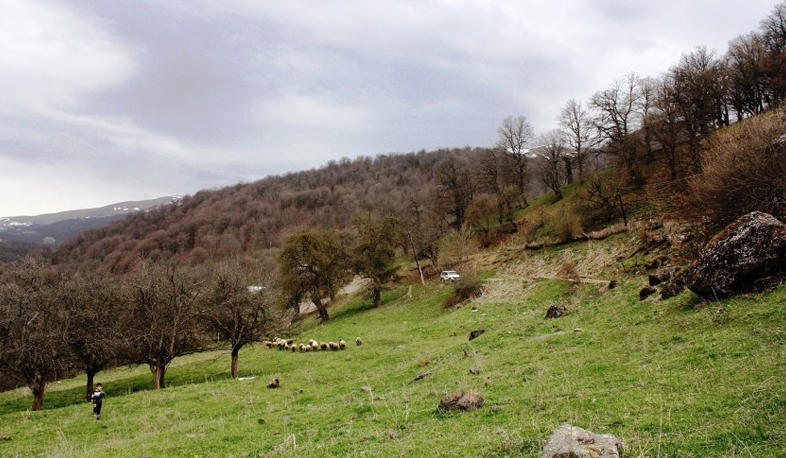 Կալավանցիները զարգացնում են իրենց գյուղը