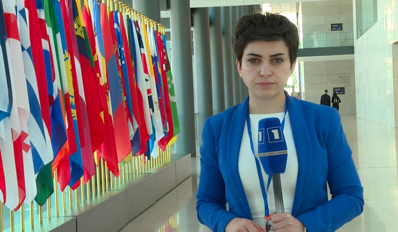 Հայկական պատվիրակության ապտակը՝ Հայոց Ցեղասպանության դատապարտումը ներառող բանաձևի ընդդիմախոսներին