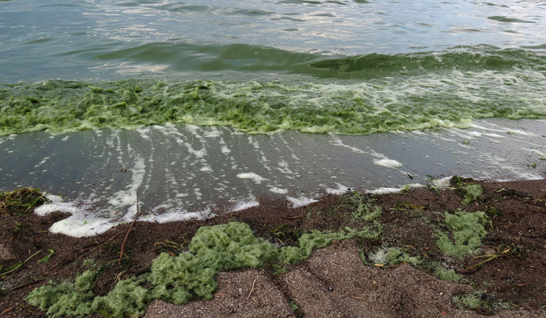 Состояние озера Севан тревожное, но не катастрофическое