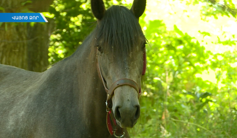 Карен Асланян превратил свое любимое хобби в бизнес