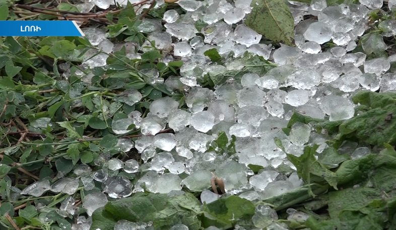 Град нанес ущерб сельчанам Лорийской области