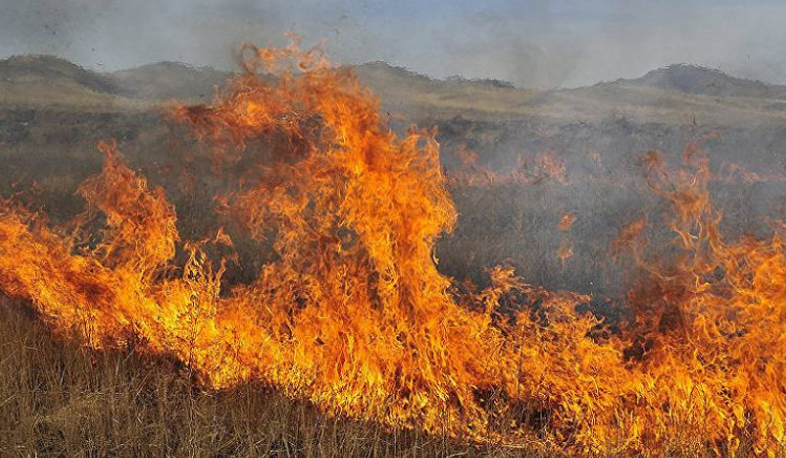 В Армении зарегистрировано увеличение числа пожаров