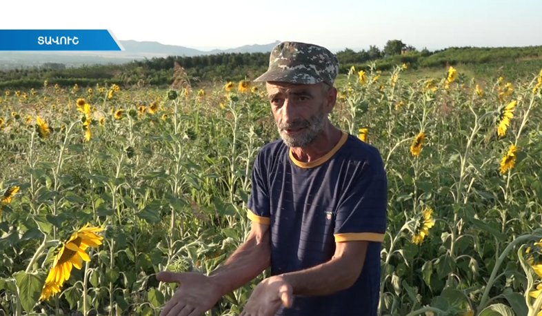 Проблема воды в Баграташене и Дебедаване