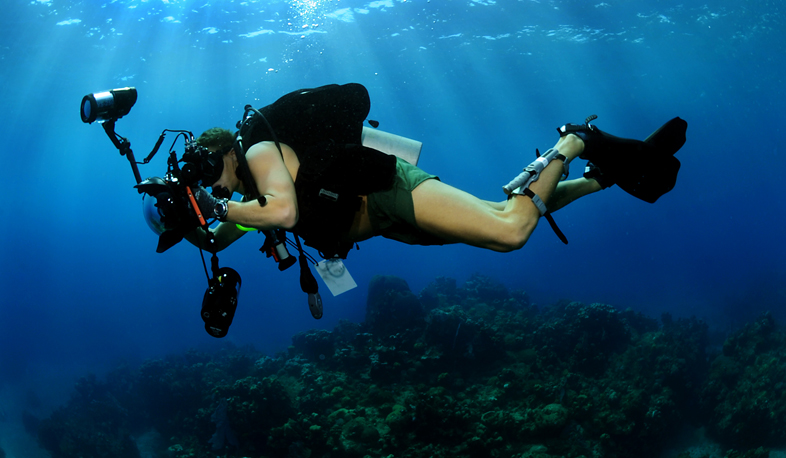 Եգիպտոսում մնացած ՀՀ քաղաքացիները վերադառնում են հայրենիք