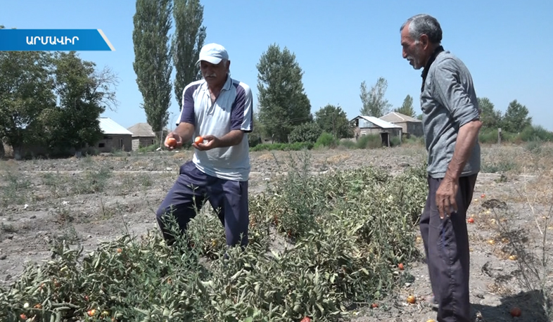 Ոռոգման ջրի խնդիր Արմավիրում