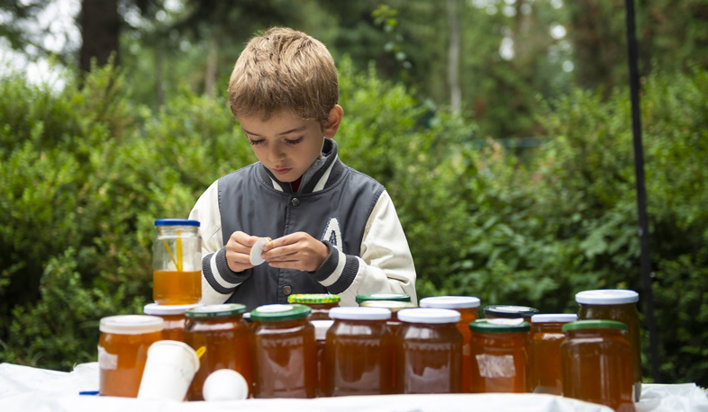 Մեղրի և հատապտուղների փառատոն Բերդում