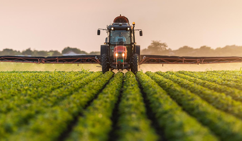 Extended municipality achievements