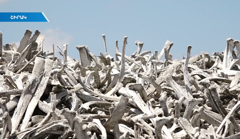 Նախկին մսի կոմբինատի արտադրական թափոնները Գյումրիում