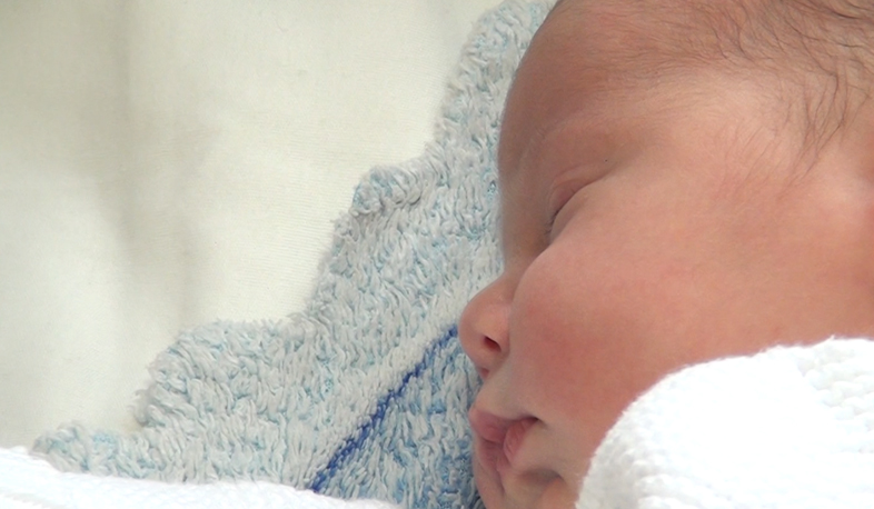 Birth rate decline slows