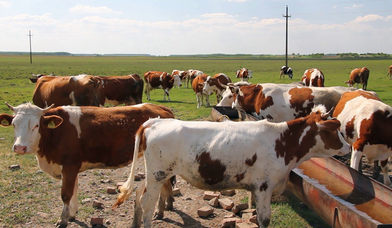 Village Ferik loses its pastures