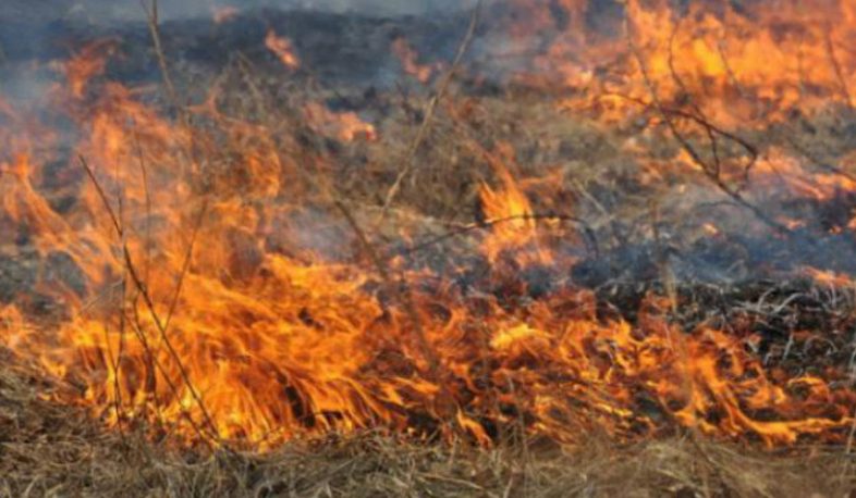 Пожарные и жители села предотвратили проникновение огня в Хосровский заповедник