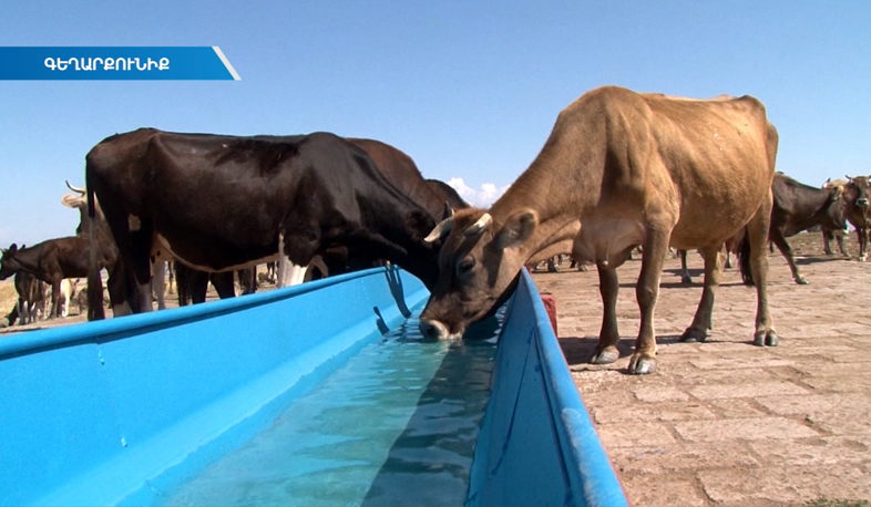 Anthrax spreading prevented