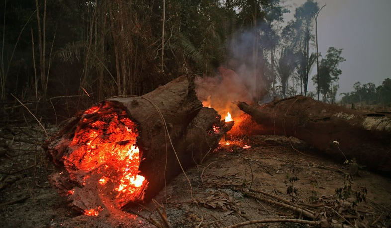 Международные новости: пожар в лесах Амазонки в центре внимания мирового сообщества