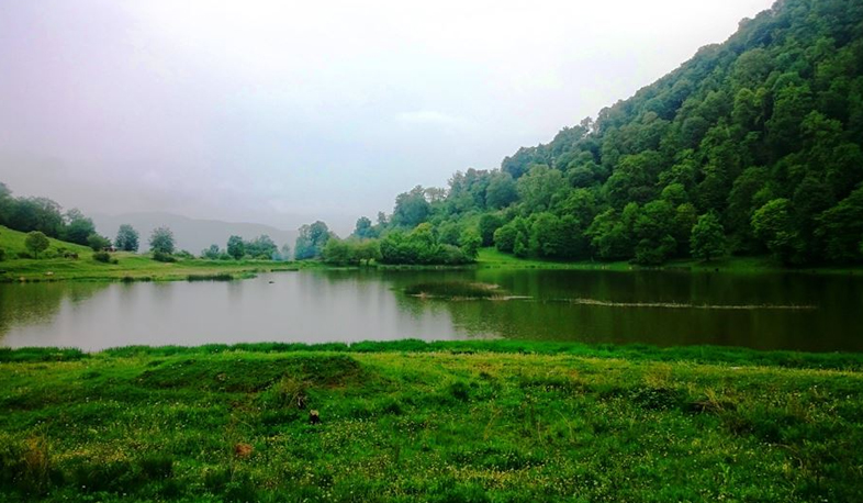 Անտառի պահպանության նոր ռազմավարություն է մշակվել