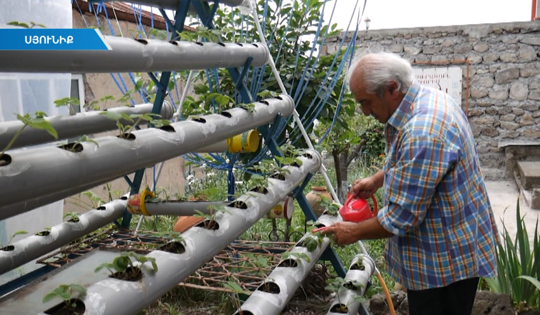 Ելակի արտադրություն քարանձավում