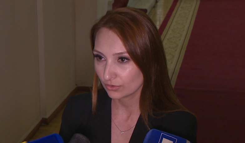 Ամուլսարի հարցում փորձել են գտնել լավագույն լուծումը. Լիլիթ Մակունց