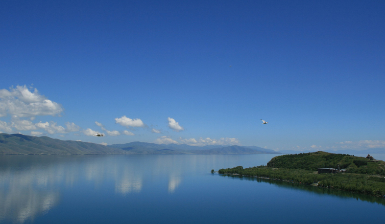 Նոր բուսատեսակ Սևանա լճում