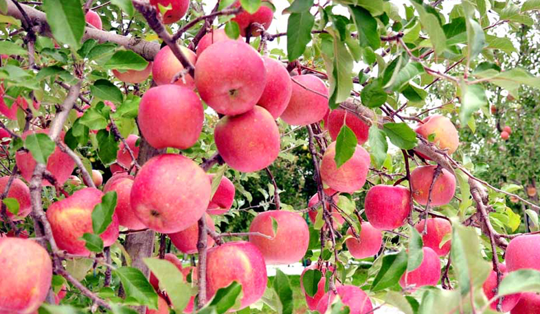 52 ընկերություն ավելացրել է արտադրական ծավալը