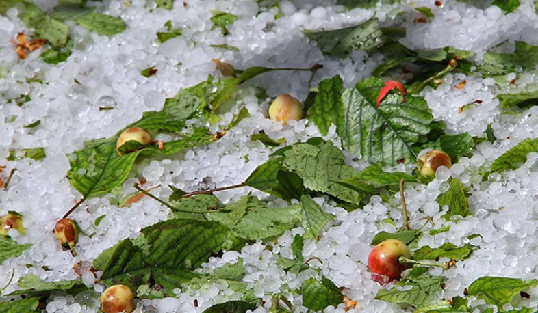 В Шираке пострадавшие вследствие сильного града получат поддержку