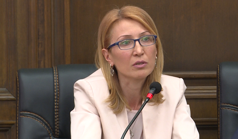 Депутаты прокомментировали приостановление полномочий Грайра Товмасяна