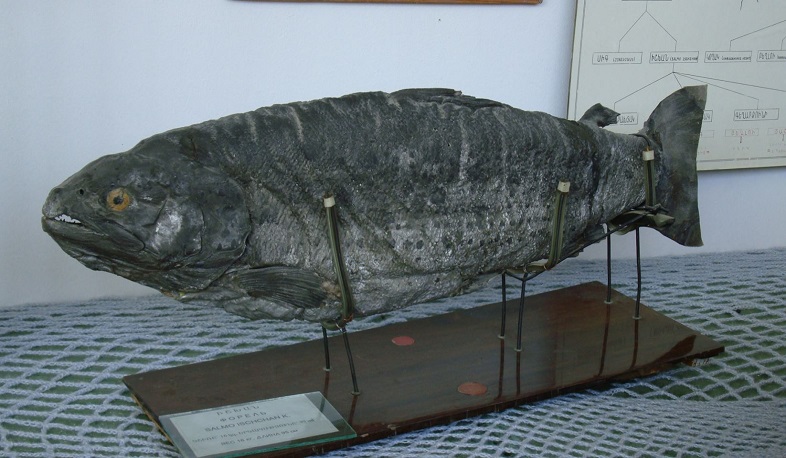 Սևանում հայտնաբերվել է 3.5 մլրդ դրամի խախտում. ՊՎԾ