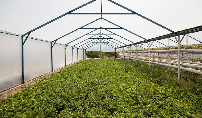 Այս տարի Կառավարությունը արտոնություն է տրամադրել 64 ներդրումային ծրագրի