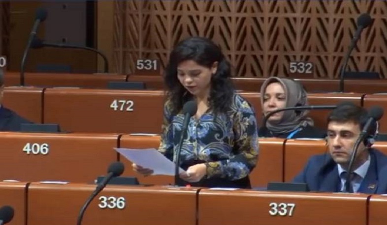 ԵԽԽՎ պատվիրակության անդամները՝ ՀՀ ՄԻՊ գրասենյակի մասին