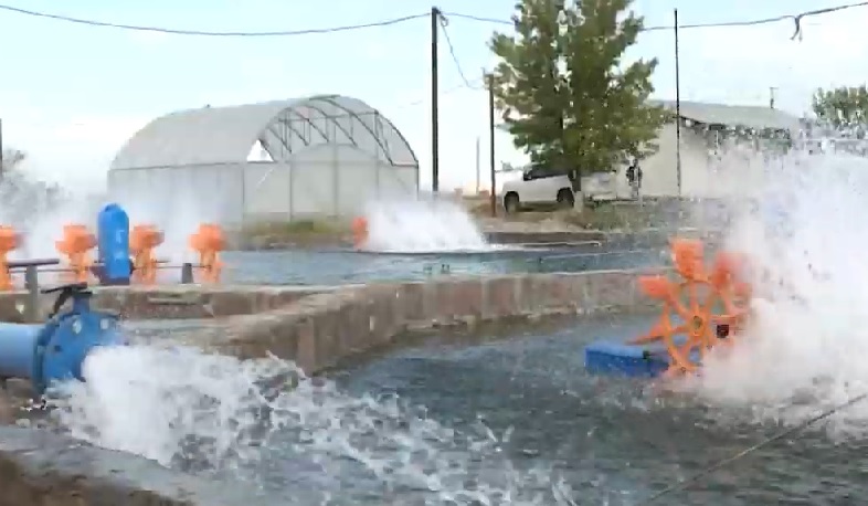 Ձկնաբուծության ոլորտում պարտավոր են անցնել ջրախնայման