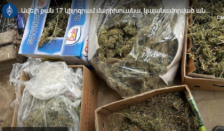 Ավելի քան 17 կգ մարիխուանա, կալանավորված անձինք․ Քրեական ոստիկանության բացահայտումը