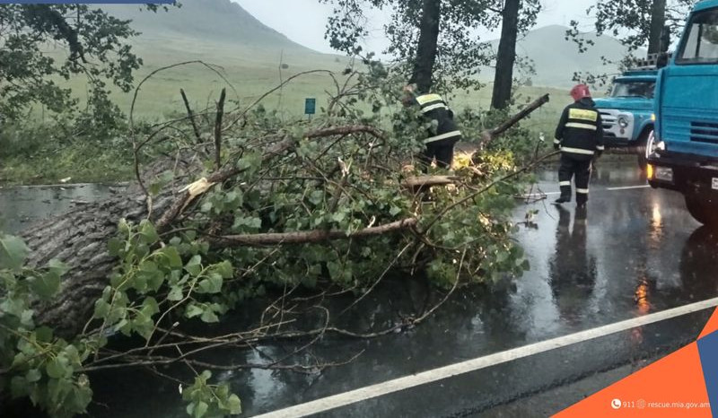 Տապալված ծառեր, վնասված տանիքի թիթեղ․ ուժեղ քամու հետևանքները